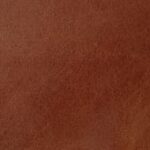 Old English chestnut 1